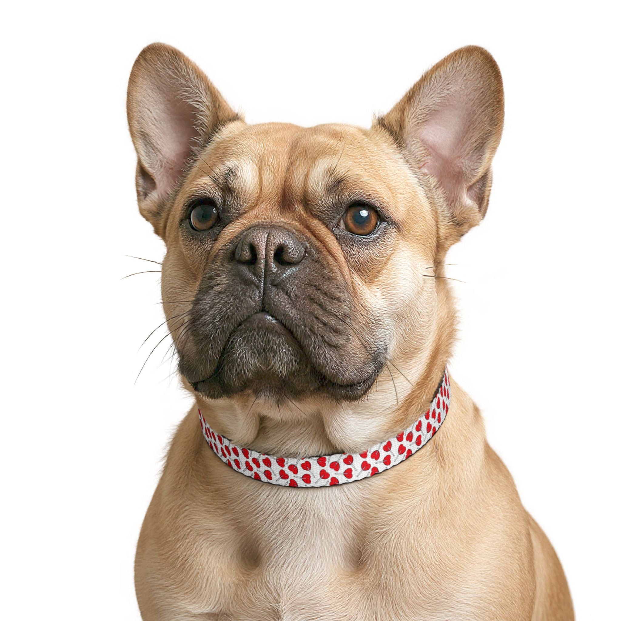 Luna Heart Dot Pet Collar