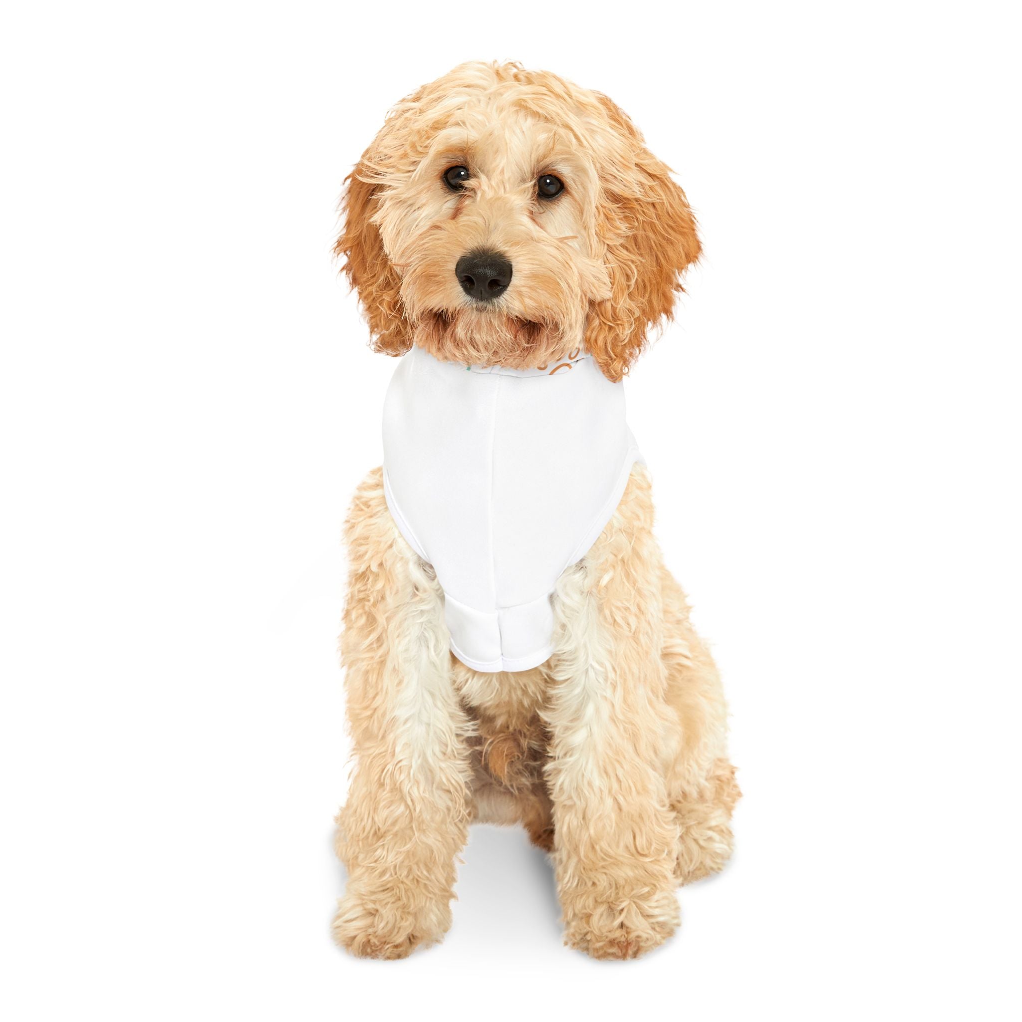 Luna Pet Co. – Dog Dad Street Hoodie™