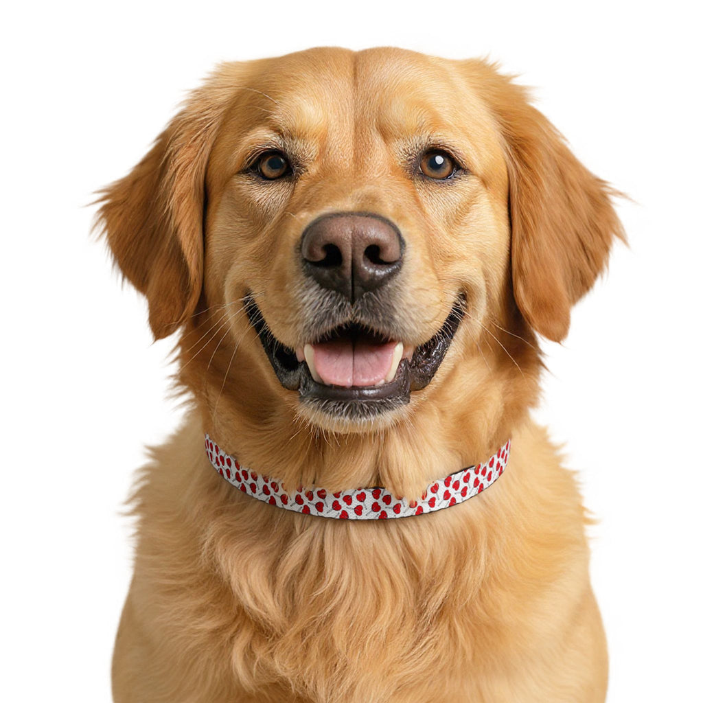 Luna Heart Dot Pet Collar